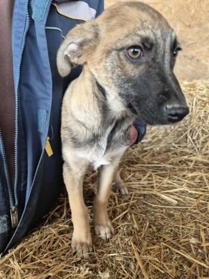 555163028 1636252257347543 3055254211002169068 n