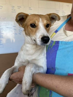 555466452 24721062194201041 4783756065404306011 n