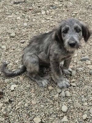 555486275 1182813190361507 9081338901247117062 n