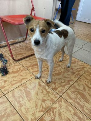 555527026 24721061487534445 8595627657197232129 n