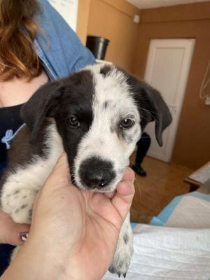 555547066 24719529531020974 6273784500697567822 n