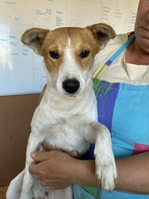 555631682 24721061724201088 7319748624640445652 n