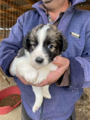 555937825 1137278204552151 7461129419258479293 n