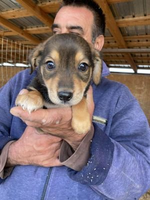 556007143 2504106726641607 7127082344130025026 n