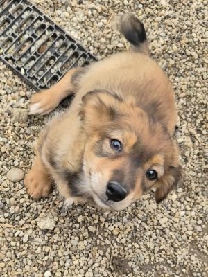 556109470 1457433295362505 9141287230905147385 n