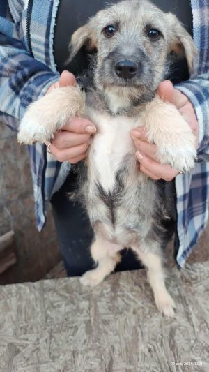 556129322 1482347319690958 2707296248565491307 n