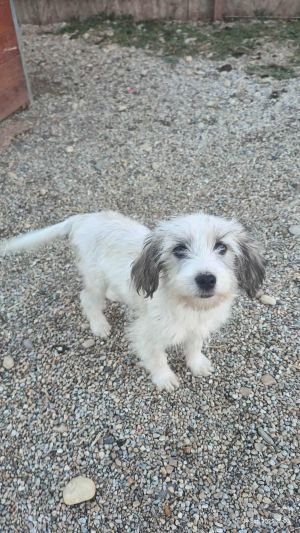 556853037 1296127708929393 2250099541174626395 n