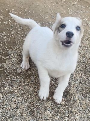 556857678 1162730335324039 9073506369706587509 n