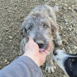 556857678 676577462179230 3906263763539778053 n