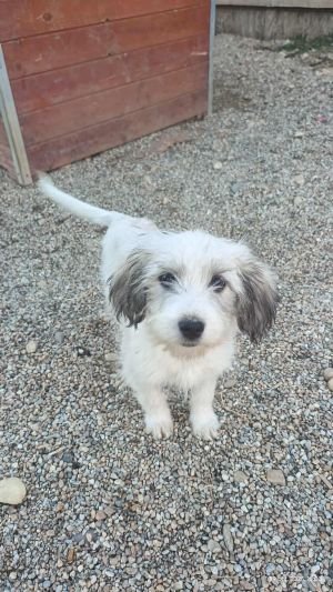 556888744 803400219253826 7987478536870628126 n