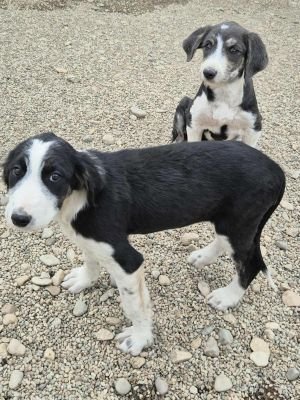 556967670 580861605115948 7284067694809600332 n