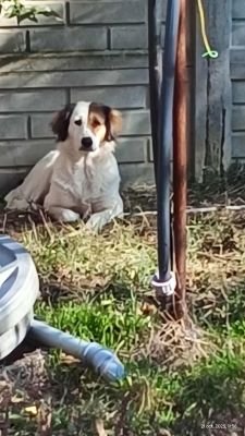 557071591 1869661590648977 2620022624598022446 n