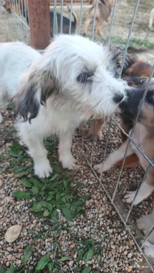 557071591 811872184541798 3833135523678554472 n