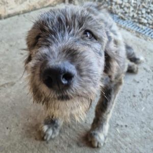 557289411 857140966959286 5037418335159655851 n