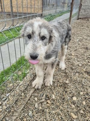 557444965 1450208512748502 2728079966651985633 n