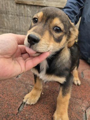 557582143 1575415267216390 6470858068799746272 n