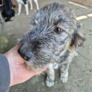 557597985 24807445742260191 2015798306112913144 n