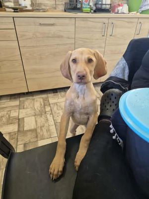 557740909 24973938712246720 1868143356689559444 n