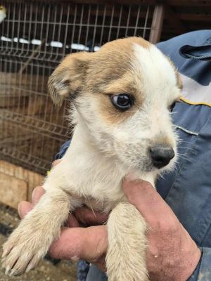 557945663 4210604262554630 6585689144674160695 n