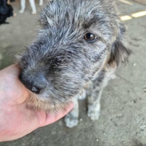 557978007 1058322202985246 5784255109381383637 n