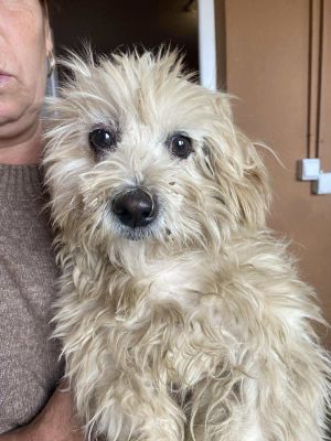 558097589 1526527055346319 8843403544941004415 n