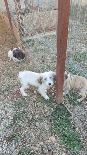 558102687 1994816711372379 443588477665872554 n