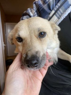 558193042 24864561379851121 5374093751362237732 n