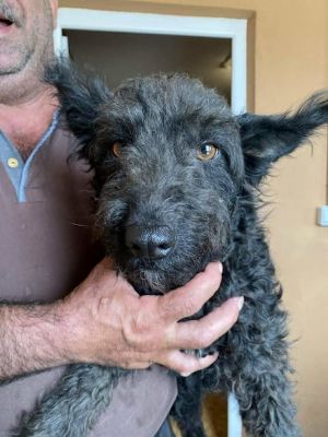 558725618 24865173679789891 2770842022044436716 n