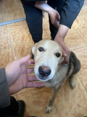 558973762 24864705633170029 7869683087707025921 n