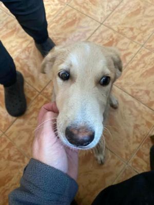 559813768 24864709816502944 7767963464562703408 n