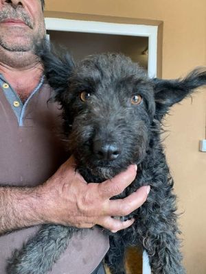 560909152 24865173916456534 2641885821341935517 n