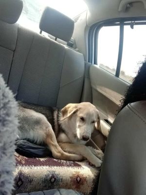 561004887 24864833389823920 9137294721358599584 n