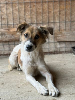 561029993 31716039778042710 6166542652060067845 n