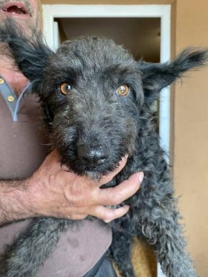 561382953 24865173943123198 3170987180640753991 n