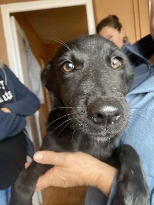 561521025 24983308904643034 5437832288818976945 n