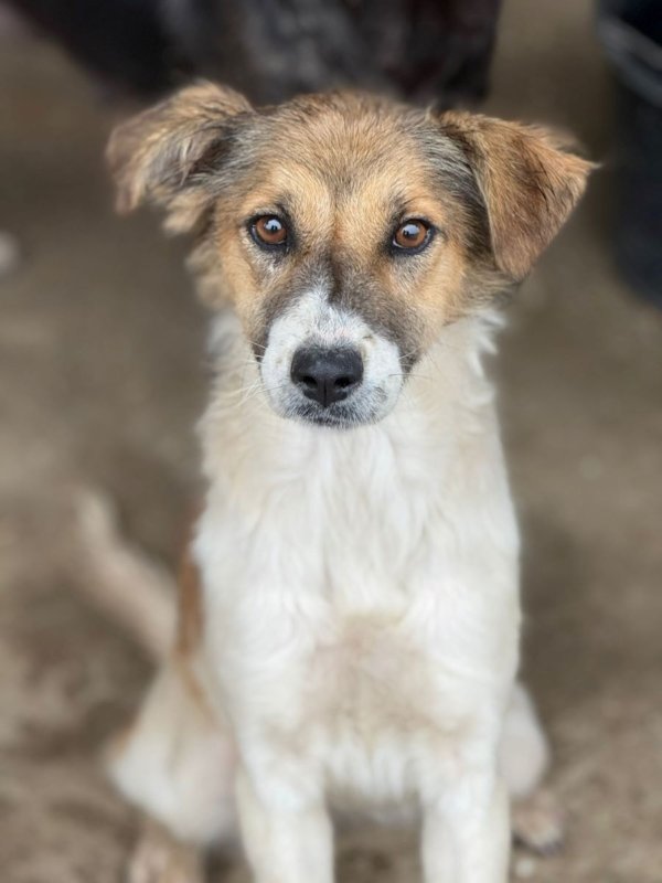 561595216 31716038681376153 1099854889360642530 n