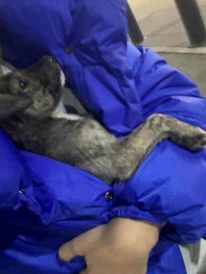 561615925 24984685574505367 6804425276222716415 n