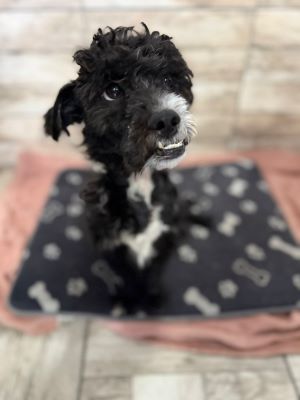 562284663 2077777612755626 8354880282928722781 n