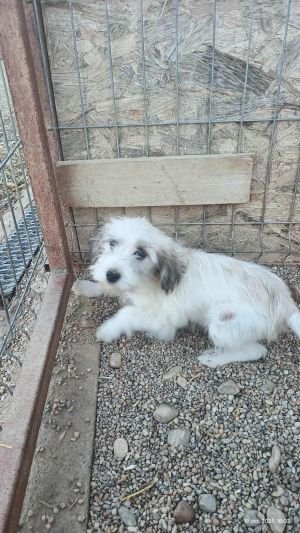 564010932 1381260733573594 2729103107575986506 n