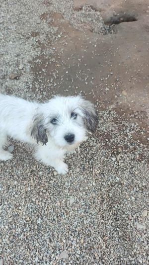 564045475 1948926812349584 5165312223878791942 n