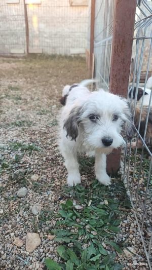 564073817 1920534525532211 5570605814233744036 n