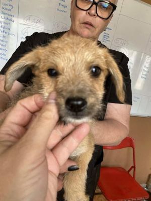 564124432 24963697149937543 1862855266129705518 n