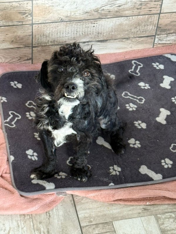 564529817 2077777622755625 4513644918201859550 n (1)