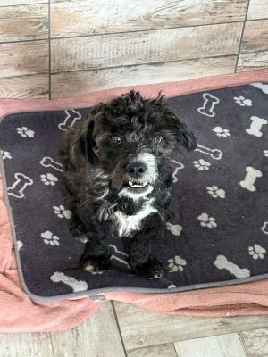 564529817 2077777622755625 4513644918201859550 n