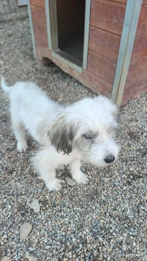 564534625 1092990409711773 167958369236932319 n