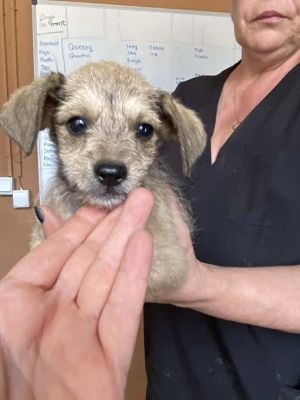 564551727 24963759843264607 6939851135134156221 n