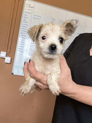 564613790 24963575643283027 7409351839082894323 n