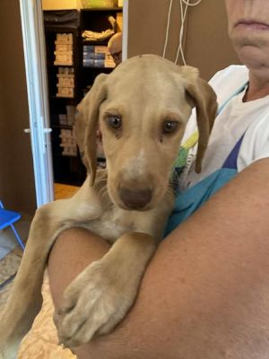 564615343 24973937415580183 4245321356476532925 n