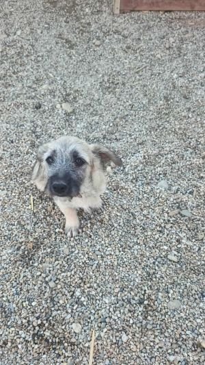 564727568 755030370877557 3820315677450408287 n