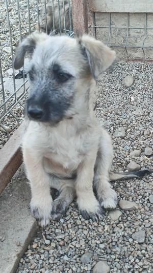 564770897 1494438538473962 6028382106800031102 n